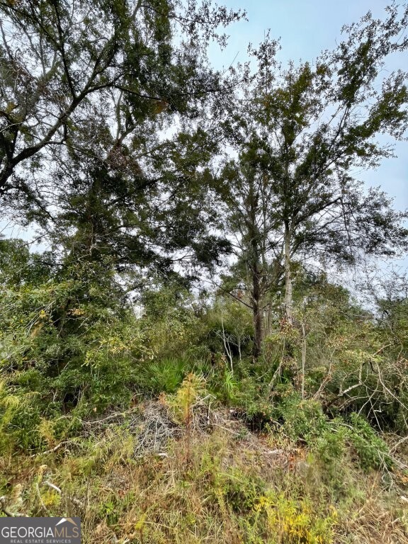 0 Highway 98 Perry, FL 32348 - Photo 14 of 23