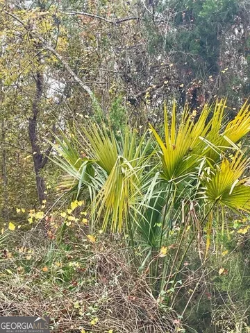 $799,000 | 0 Highway 98, Perry, FL 32348