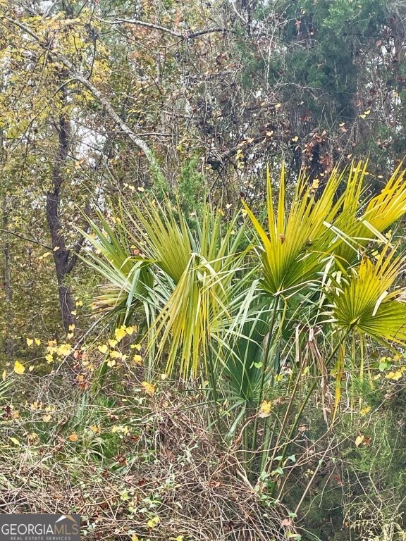 0 Highway 98 Perry, FL 32348 - Photo 15 of 23