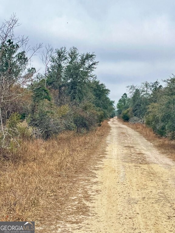 0 Highway 98 Perry, FL 32348 - Photo 19 of 23