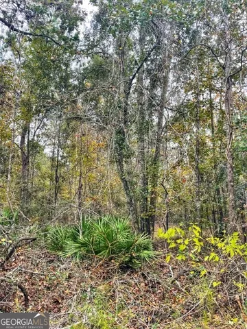 $799,000 | 0 Highway 98, Perry, FL 32348