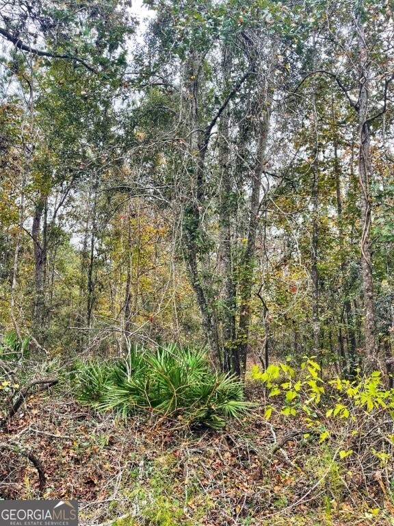 0 Highway 98 Perry, FL 32348 - Photo 2 of 23