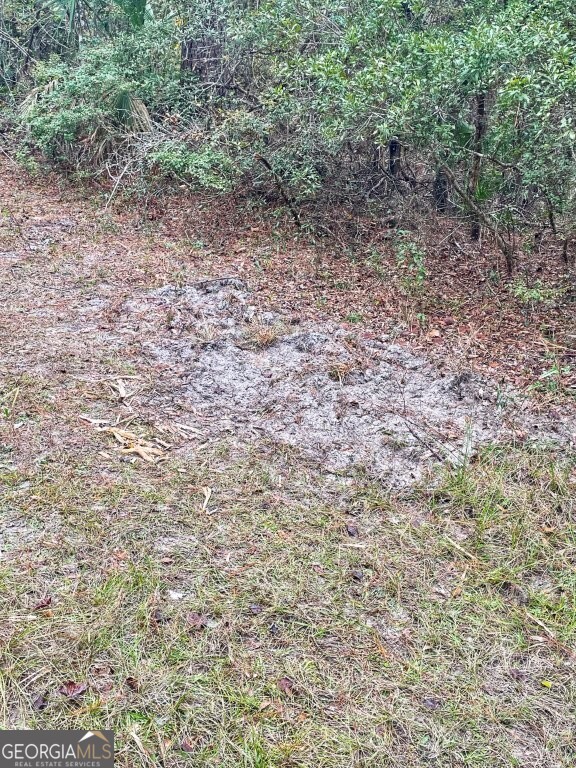 0 Highway 98 Perry, FL 32348 - Photo 21 of 23