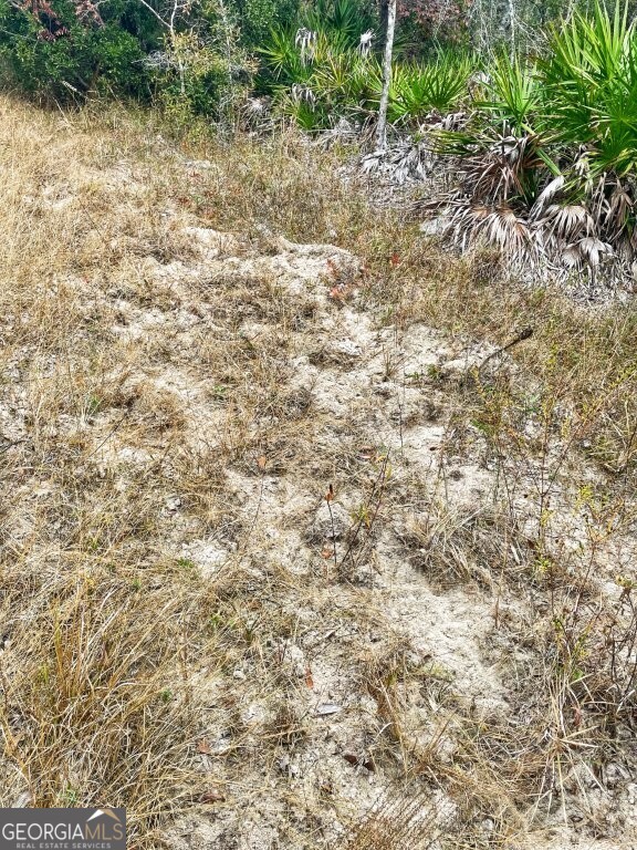 0 Highway 98 Perry, FL 32348 - Photo 22 of 23