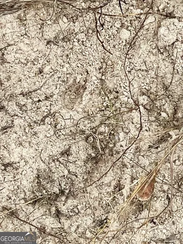 $799,000 | 0 Highway 98, Perry, FL 32348