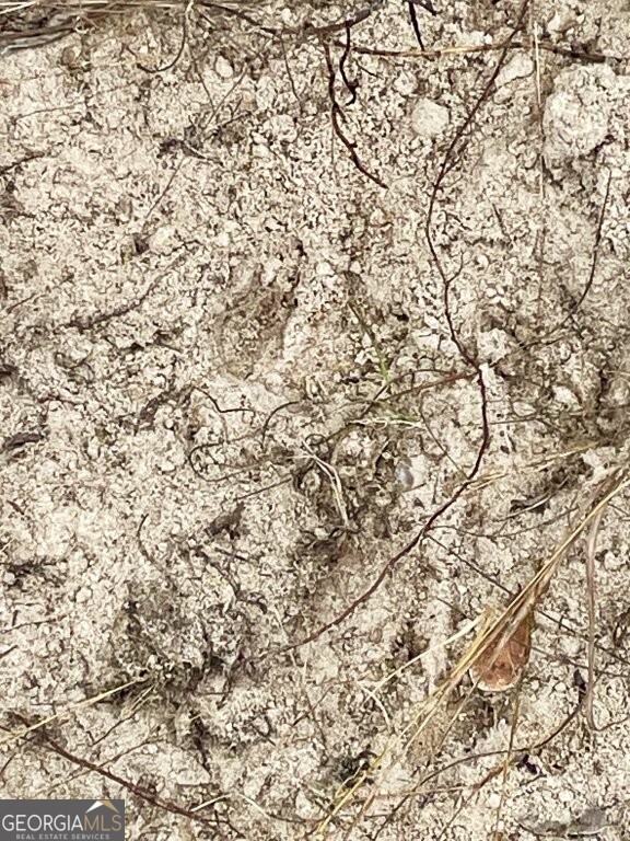 0 Highway 98 Perry, FL 32348 - Photo 23 of 23