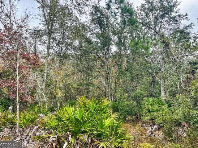 $799,000 | 0 Highway 98, Perry, FL 32348