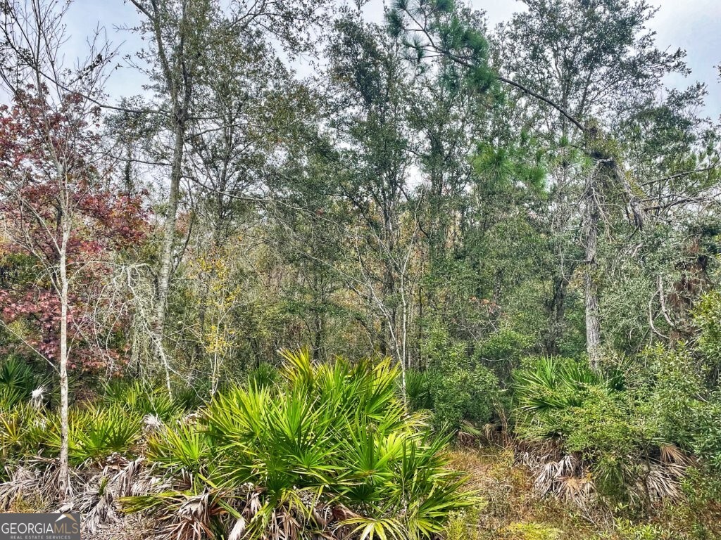 0 Highway 98 Perry, FL 32348 - Photo 3 of 23