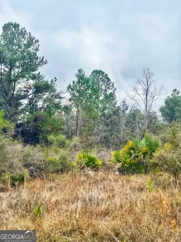 $799,000 | 0 Highway 98, Perry, FL 32348