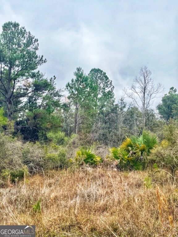 0 Highway 98 Perry, FL 32348 - Photo 4 of 23