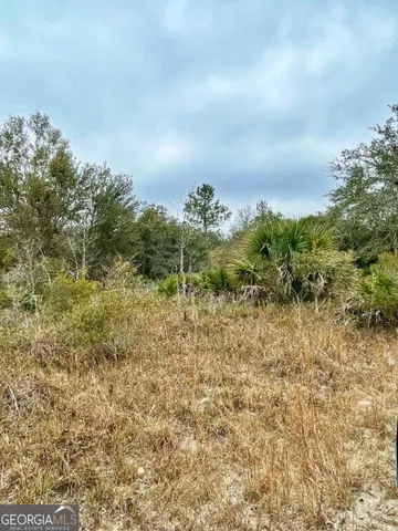 $799,000 | 0 Highway 98, Perry, FL 32348