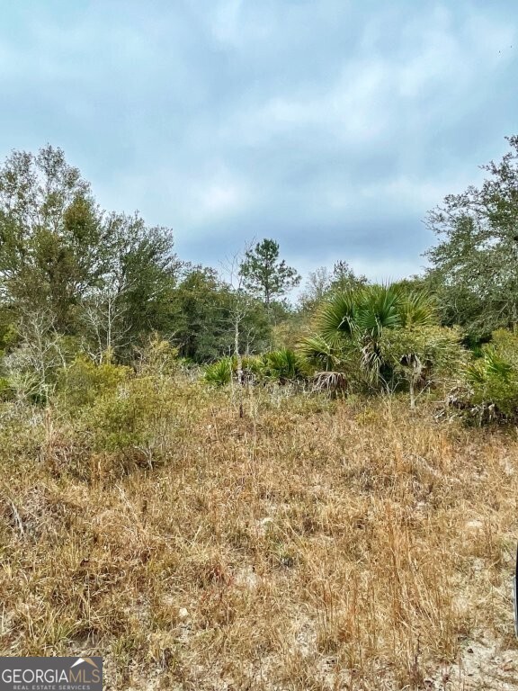 0 Highway 98 Perry, FL 32348 - Photo 5 of 23