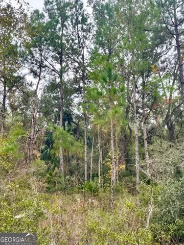 $799,000 | 0 Highway 98, Perry, FL 32348