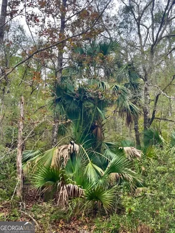 $799,000 | 0 Highway 98, Perry, FL 32348