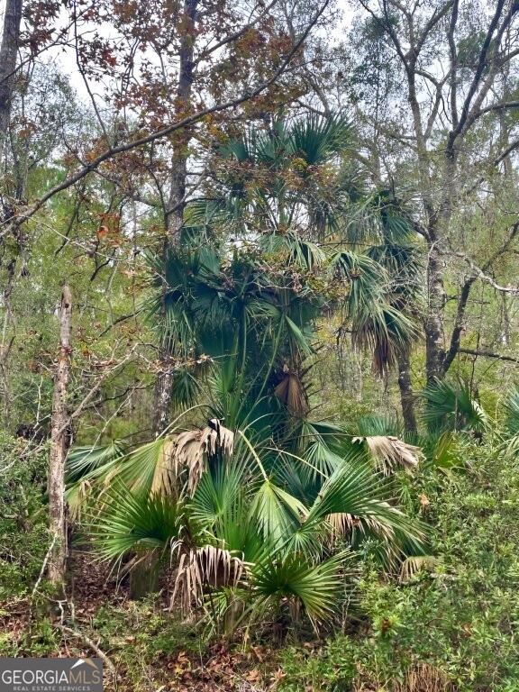 0 Highway 98 Perry, FL 32348 - Photo 7 of 23