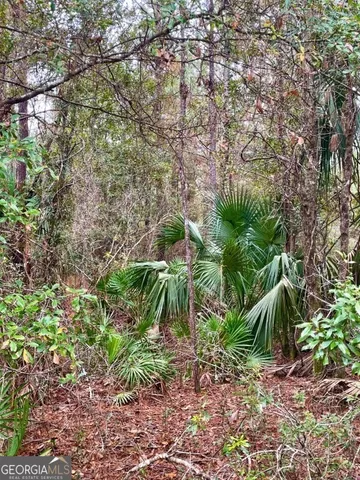 $799,000 | 0 Highway 98, Perry, FL 32348