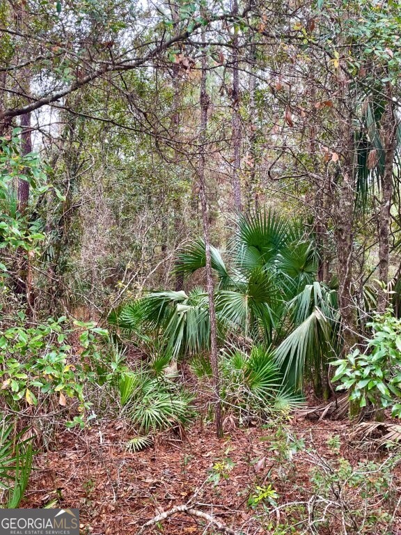 0 Highway 98 Perry, FL 32348 - Photo 8 of 23