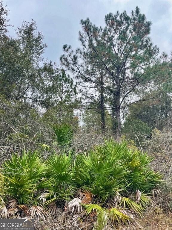 0 Highway 98 Perry, FL 32348 - Photo 10 of 23