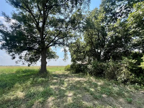 a view of a tree in front of a yard