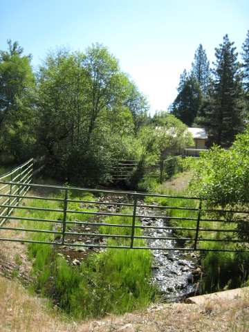 1541 Harrison Road Quincy, CA 95971 - Photo 8 of 9