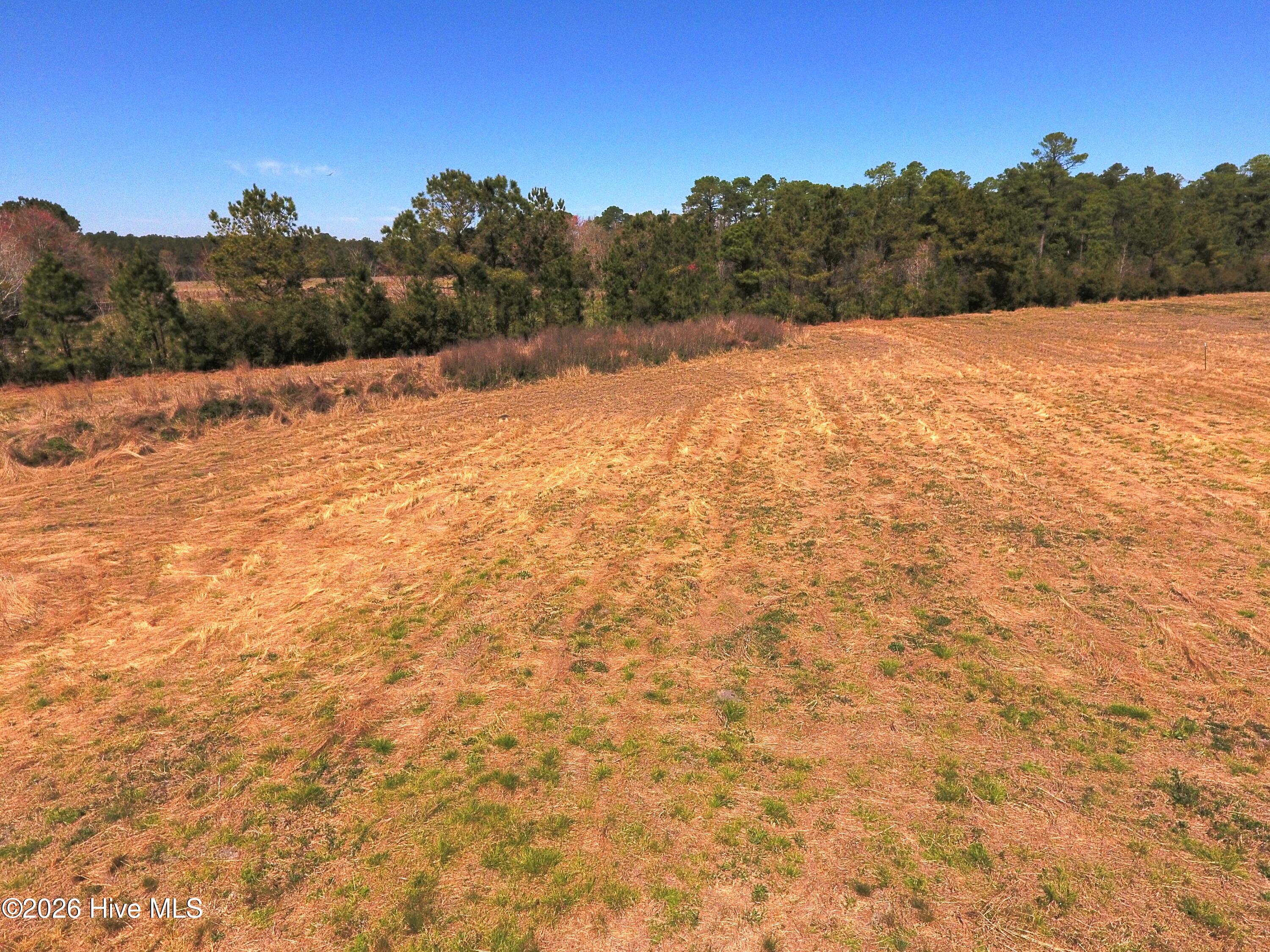 624 Guide Road Tabor City, NC 28463 - Photo 15 of 15 DJI_0582