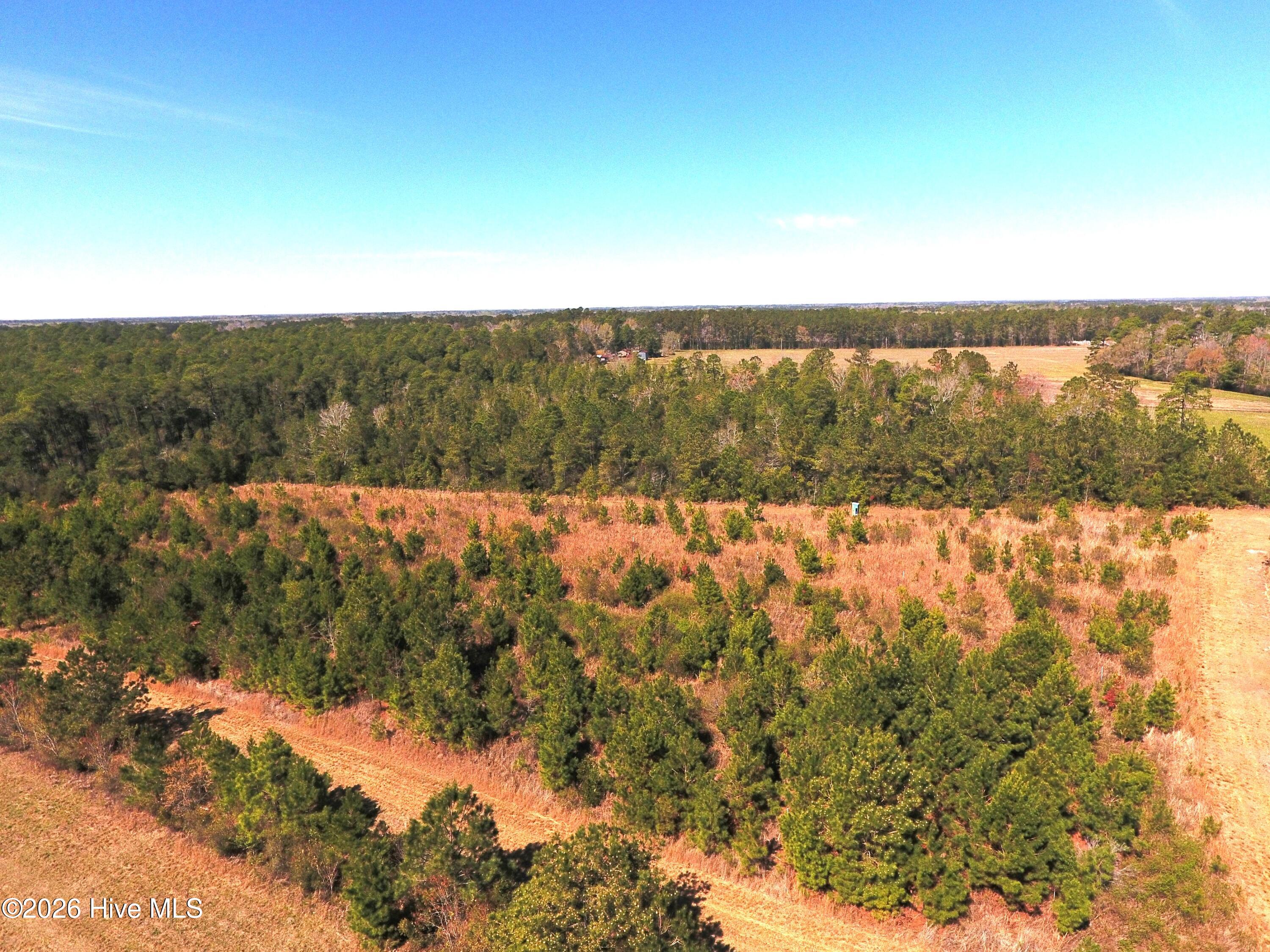 624 Guide Road Tabor City, NC 28463 - Photo 7 of 15 DJI_0574
