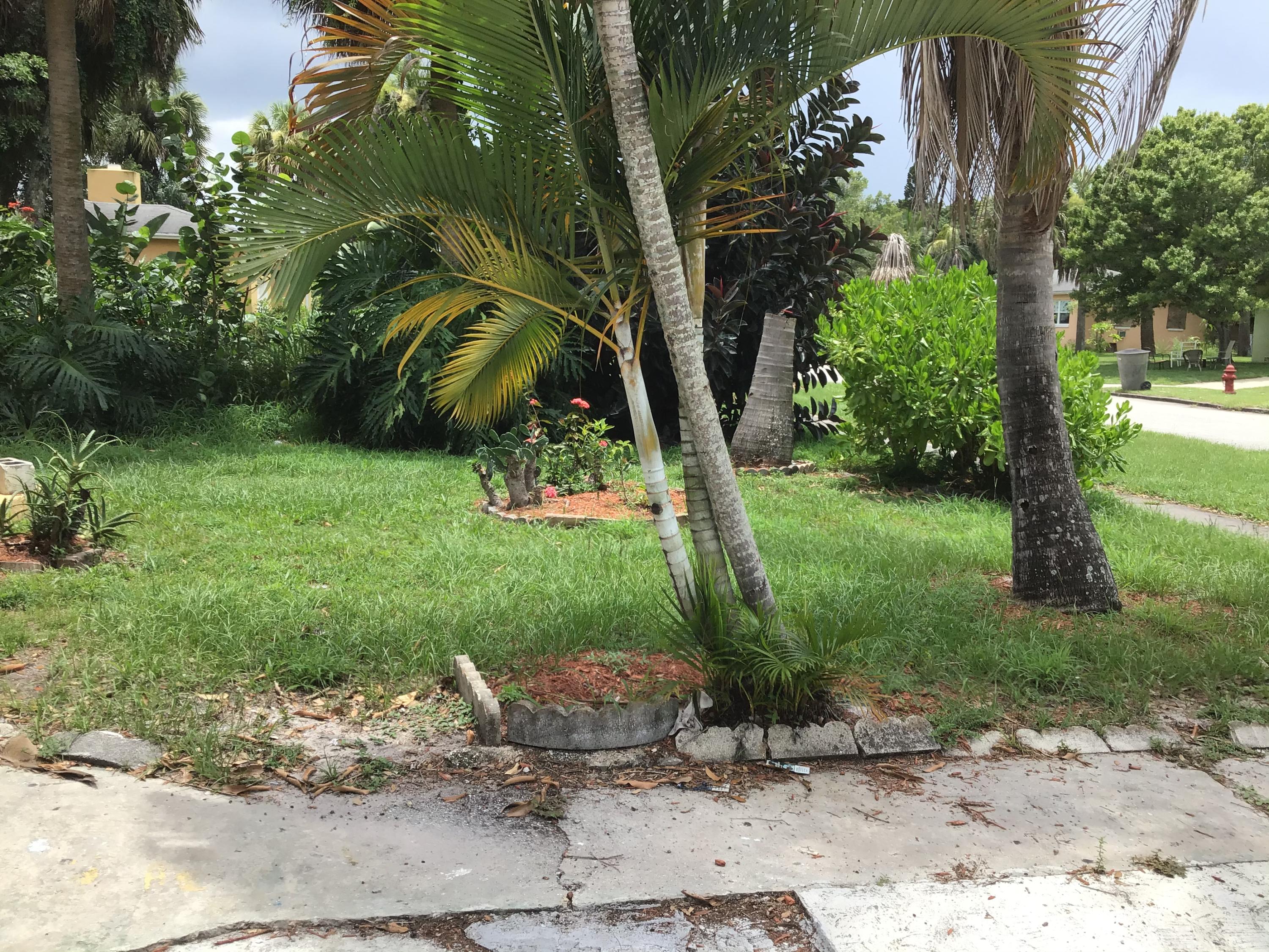 1116 Colonial Road Fort Pierce, FL 34950 - Photo 4 of 19 a view of a garden with a tree