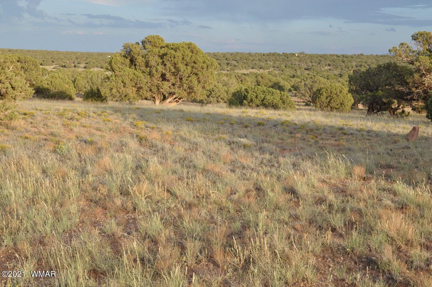 4217 Clydesdale Road Snowflake, AZ 85937 - Photo 8 of 10 Gallery Image 8