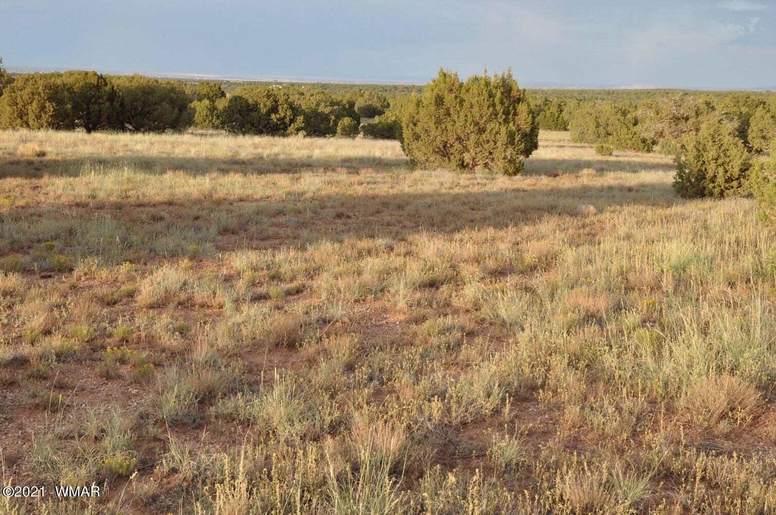 4217 Clydesdale Road Snowflake, AZ 85937 - Photo 9 of 10 Gallery Image 9