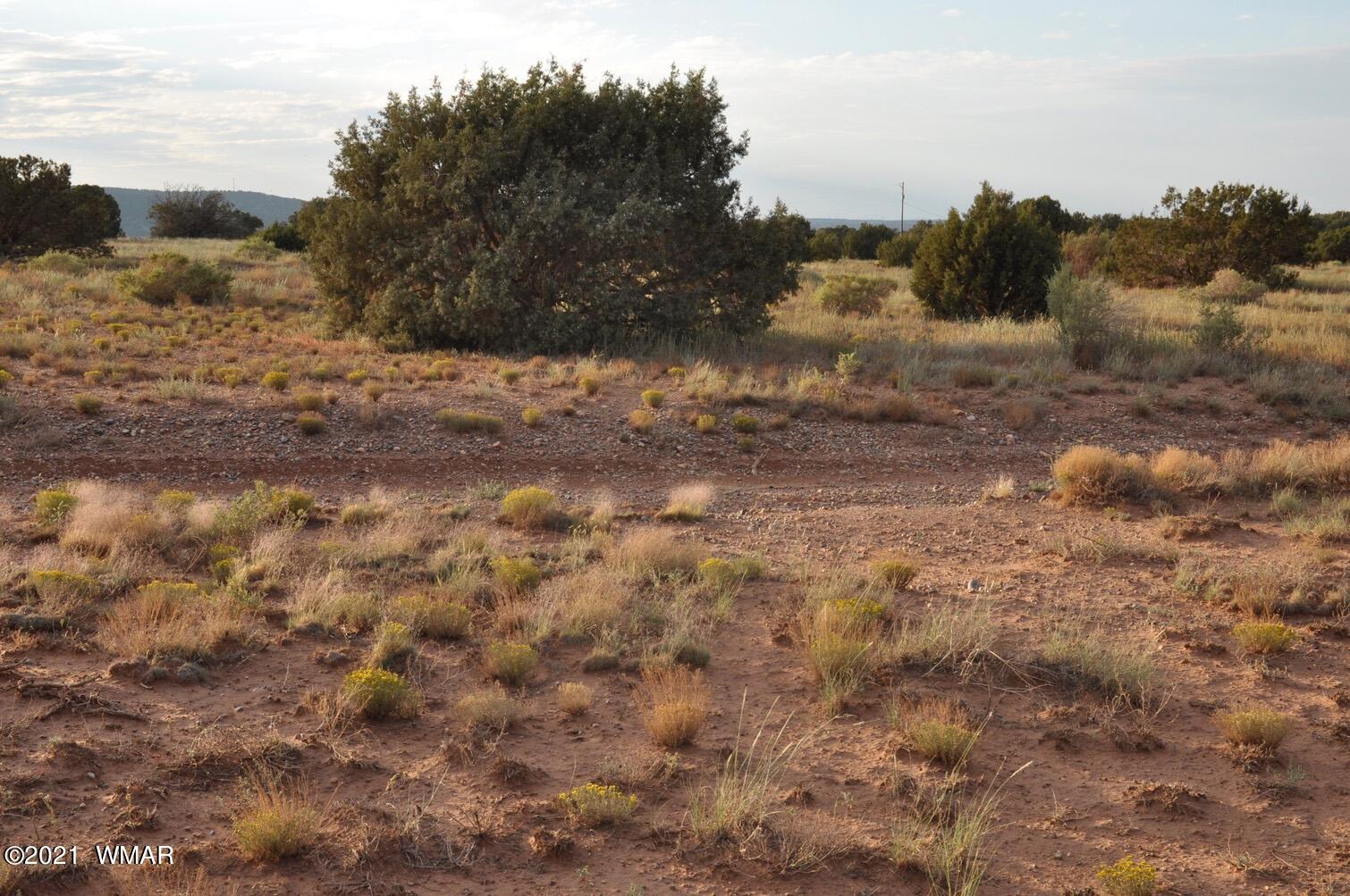 4217 Clydesdale Road Snowflake, AZ 85937 - Photo 10 of 10 Gallery Image 10