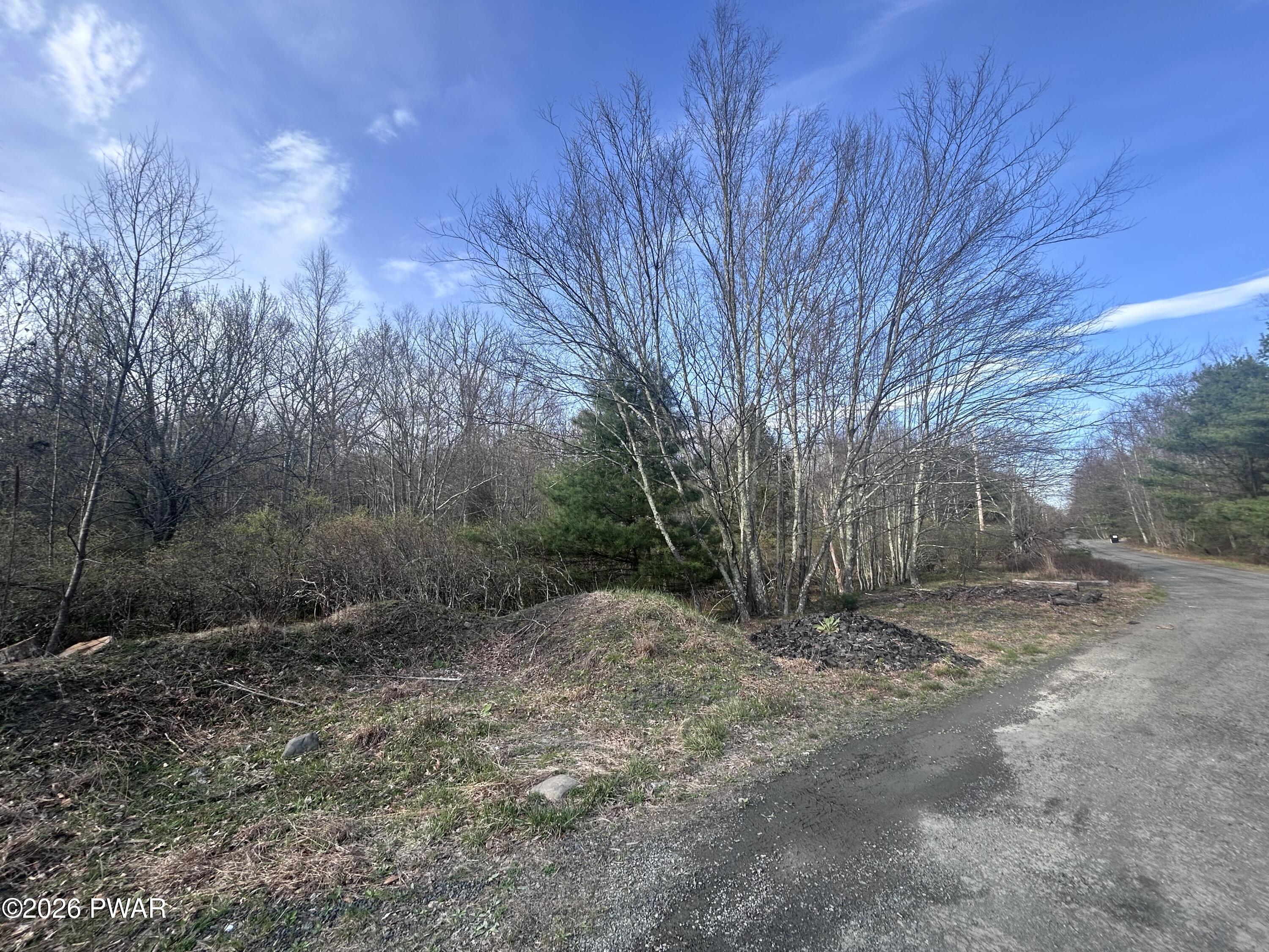 Fox Road Dingmans Ferry, PA 18328 - Photo 5 of 6