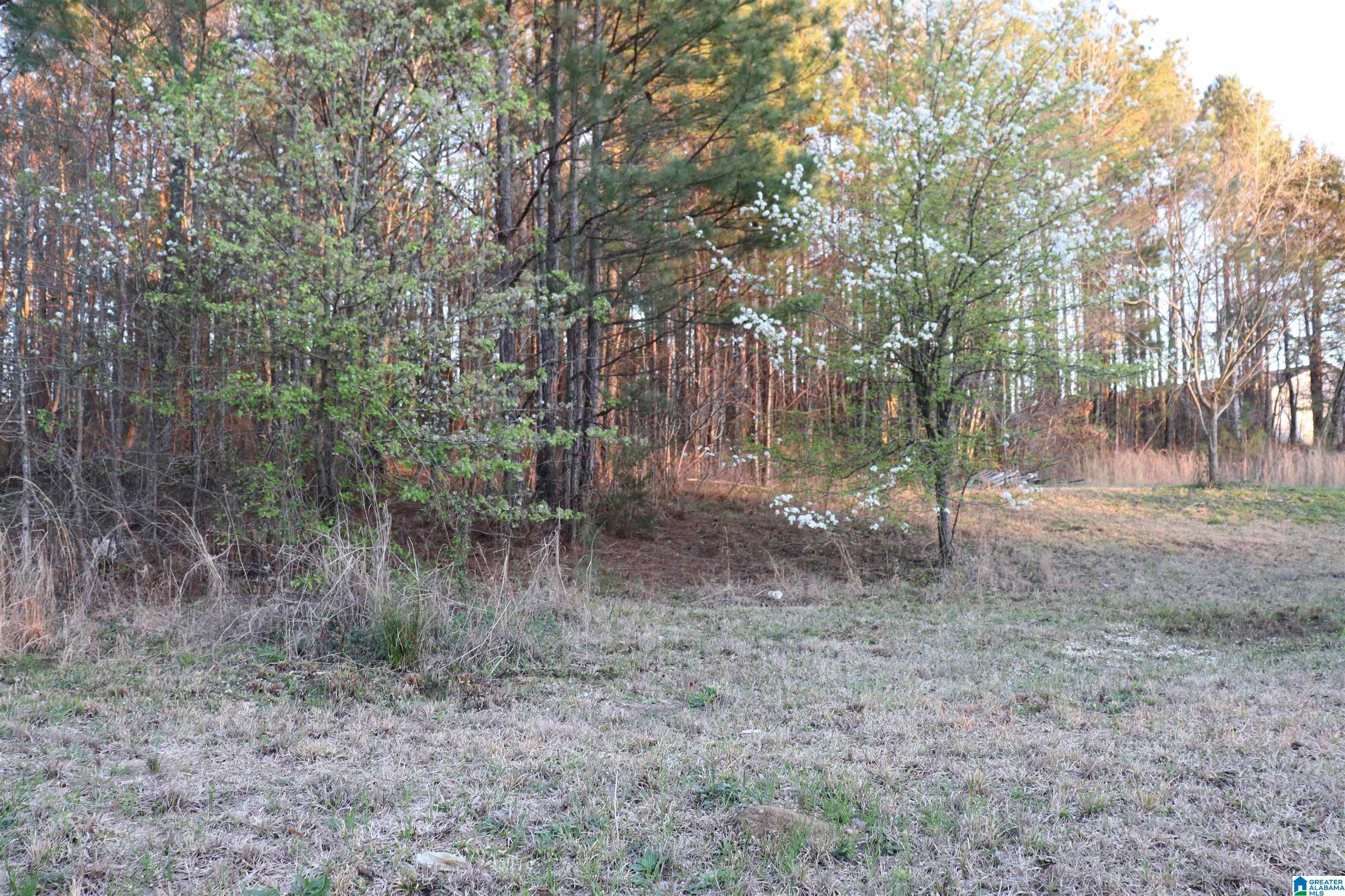 255 Estes Circle Oneonta, AL 35121 - Photo 6 of 27