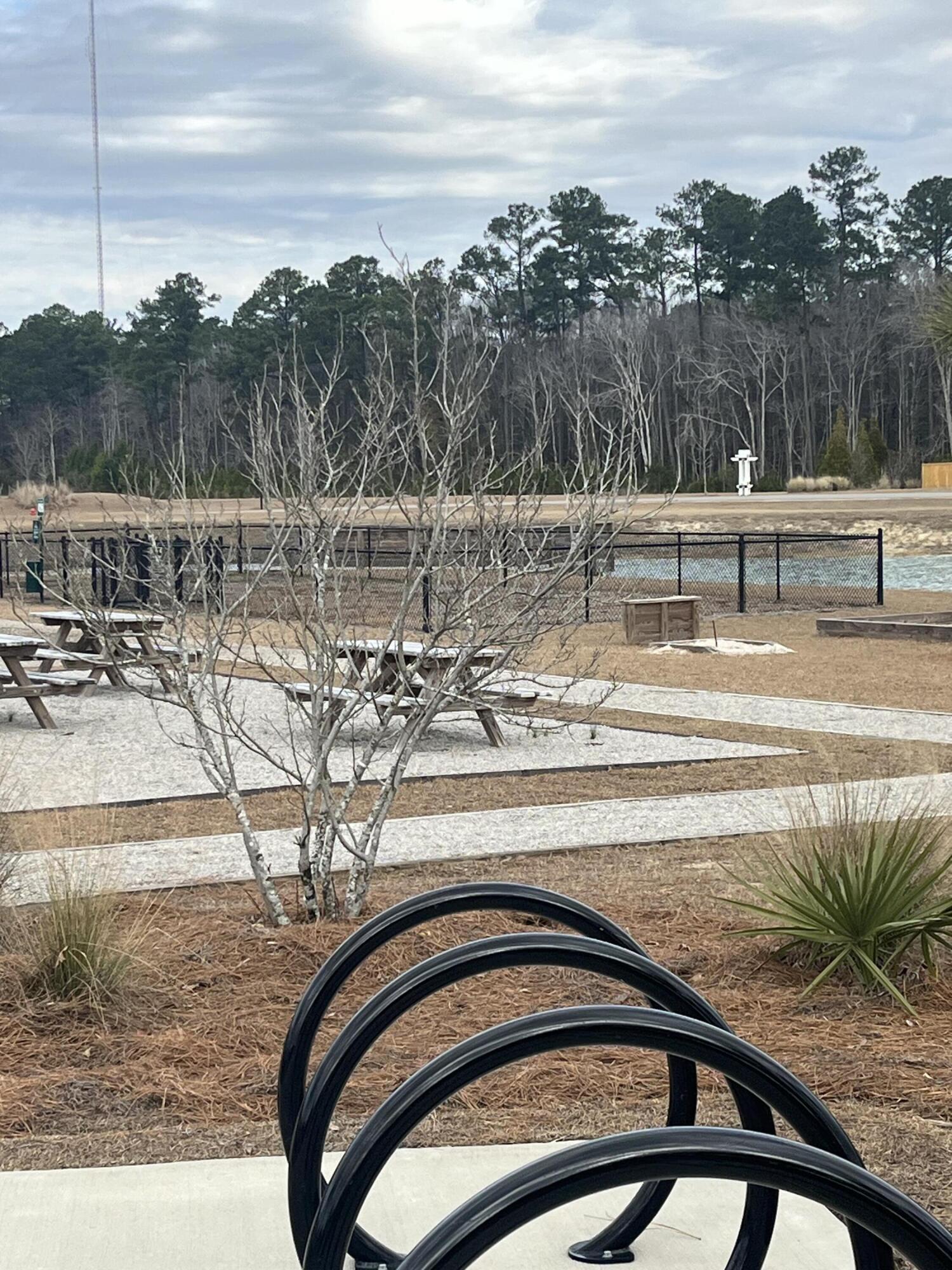 1134 Wading Point Boulevard Huger, SC 29450 - Photo 48 of 48 IMG_4997