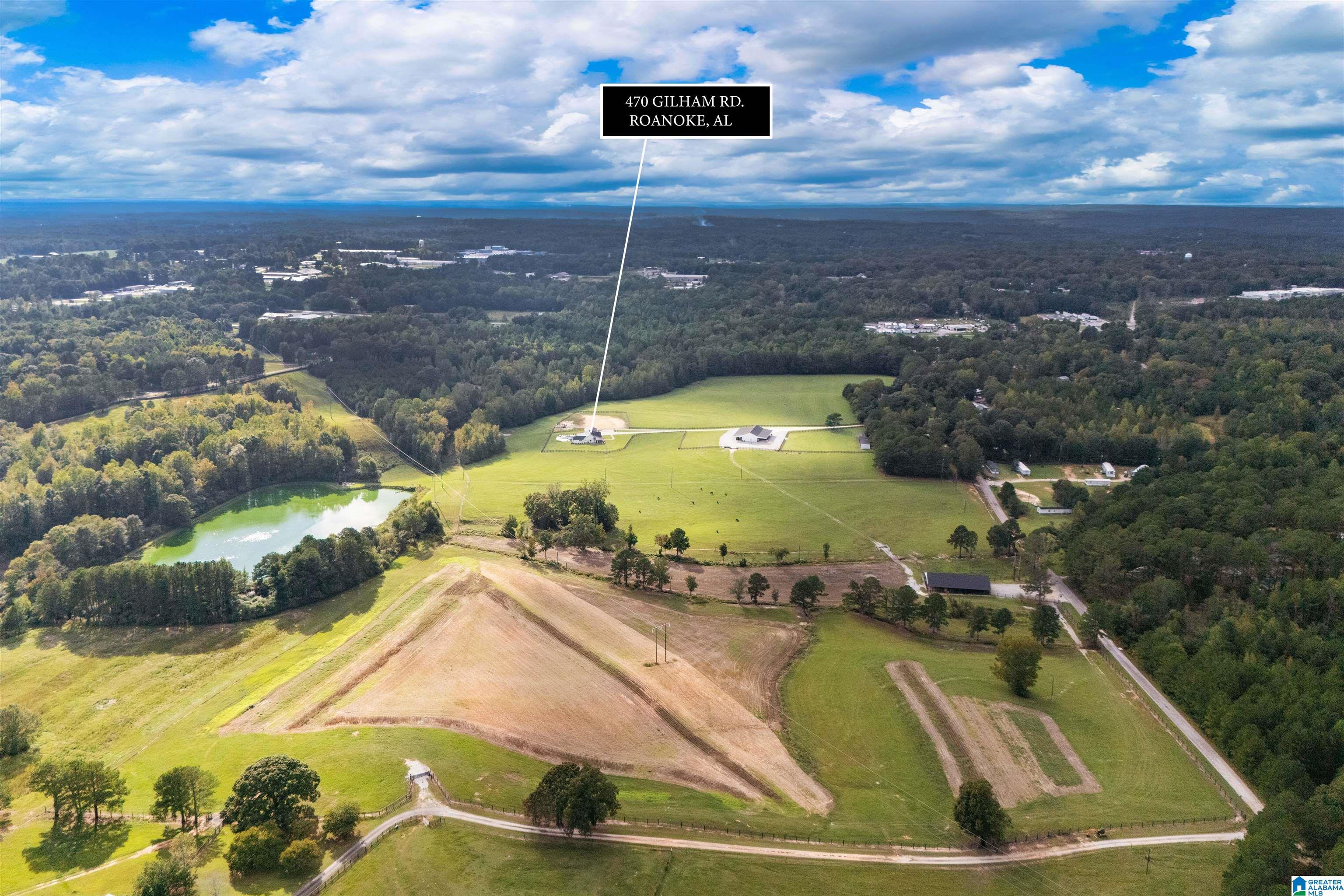 470 Gilham Road Roanoke, AL 36274 - Photo 11 of 70