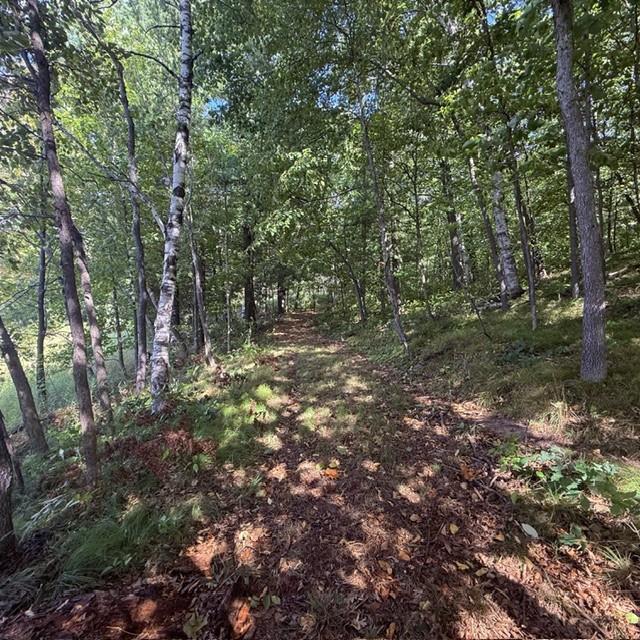 Tbd West Lilja Avenue Shell Lake, WI 54871 - Photo 18 of 23 Gallery Image 18