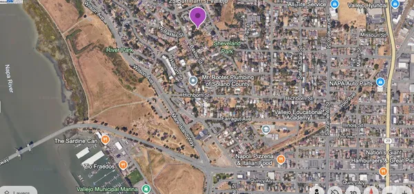 a view of a tree with a yard