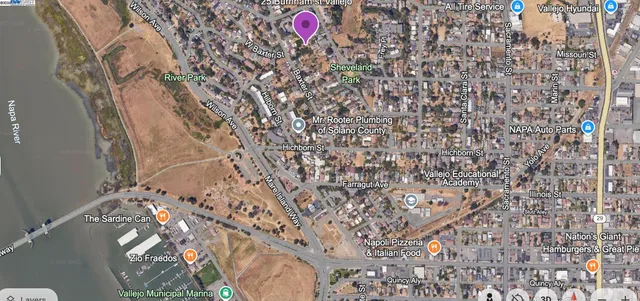 a view of a tree with a yard