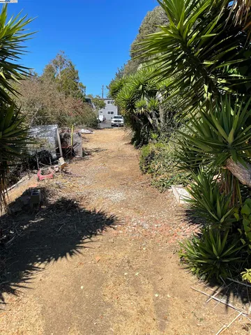 a view of a yard with a tree