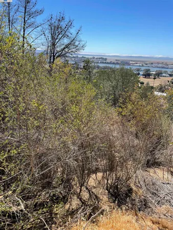 a view of a lake with boats and trees