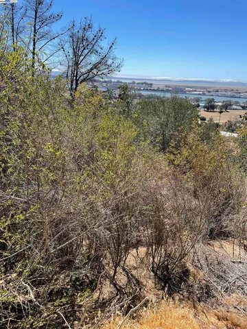 a view of a lake with boats and trees