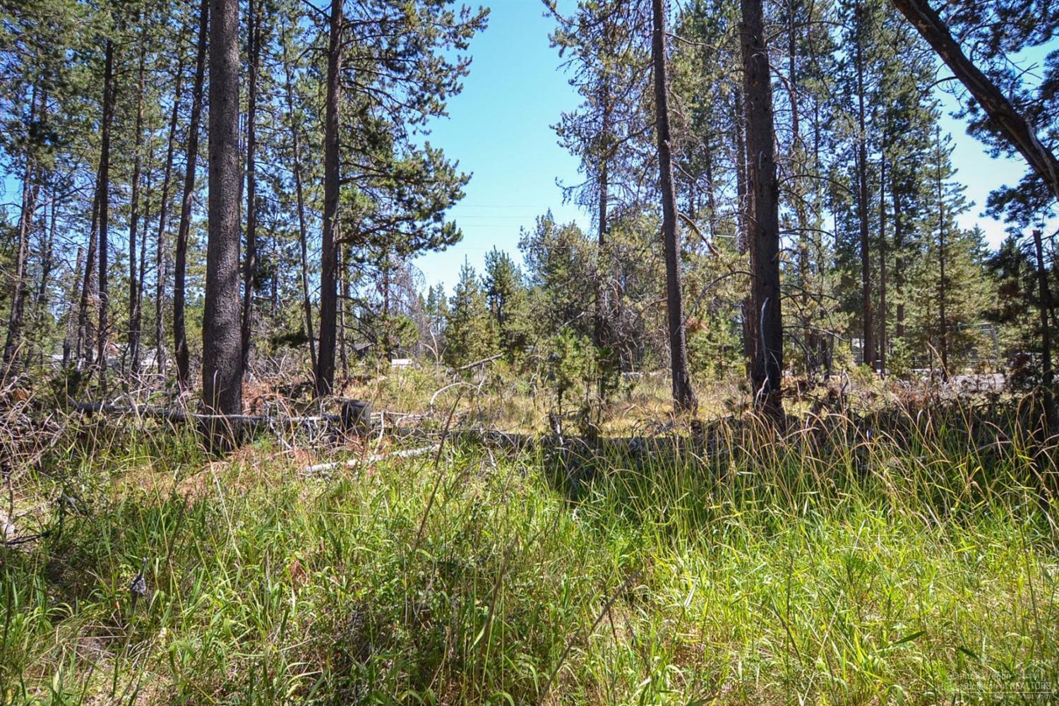 55805 Snow Goose Road Bend, OR 97707 - Photo 8 of 14 Additional Photo