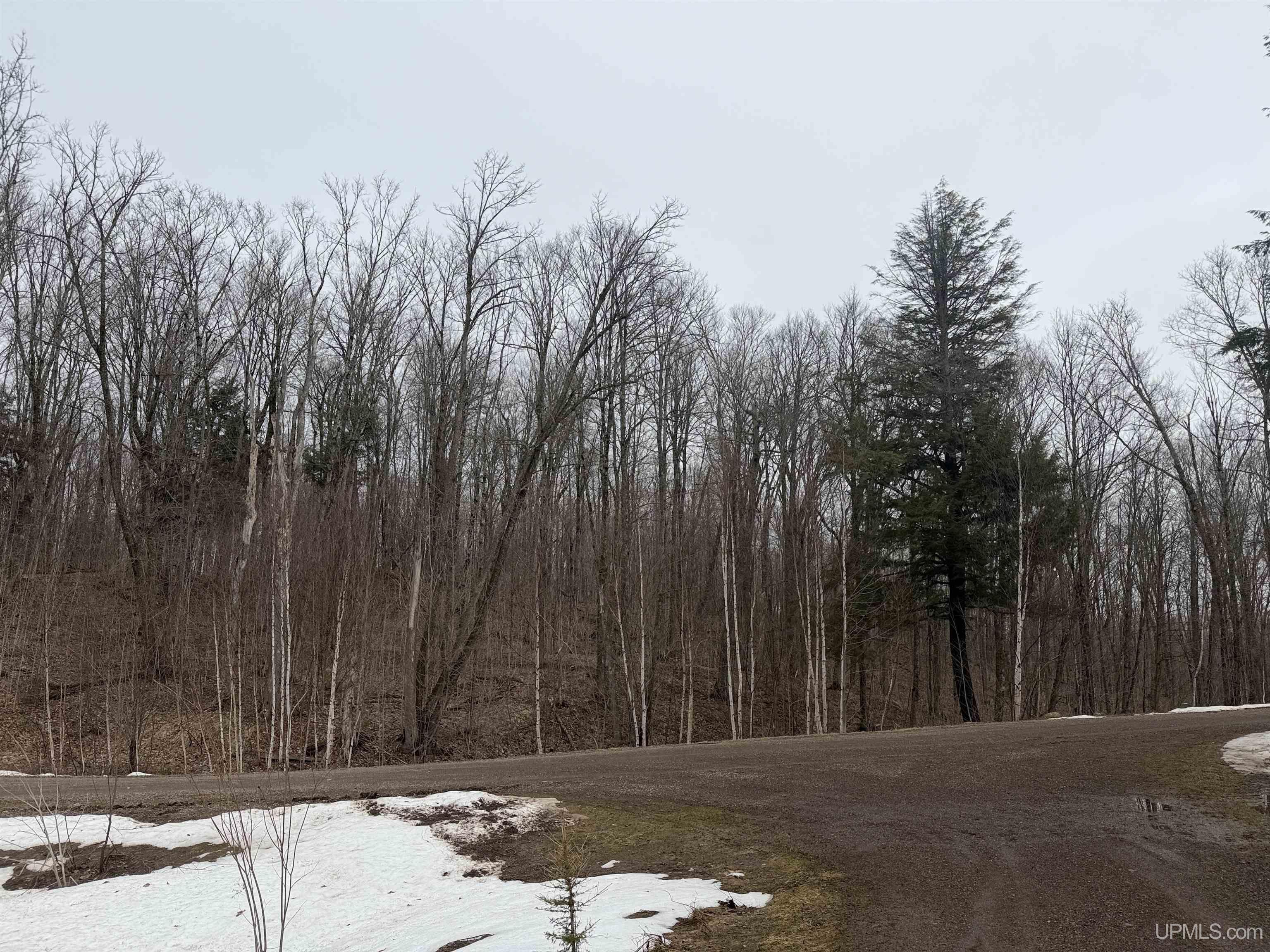 18 Chaney Lake Road Wakefield, MI 49968 - Photo 26 of 37