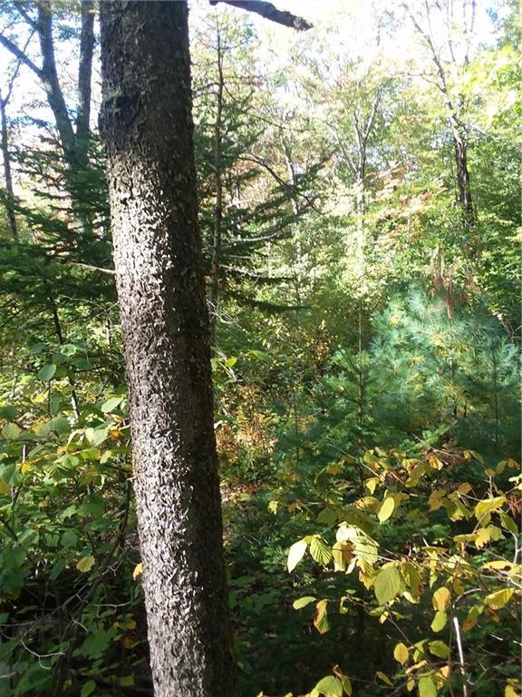 88 Browns Cove Road Round Pond, ME 04564 - Photo 7 of 11 Looking N. with trail.