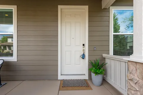 a potted plant sitting in front of a door