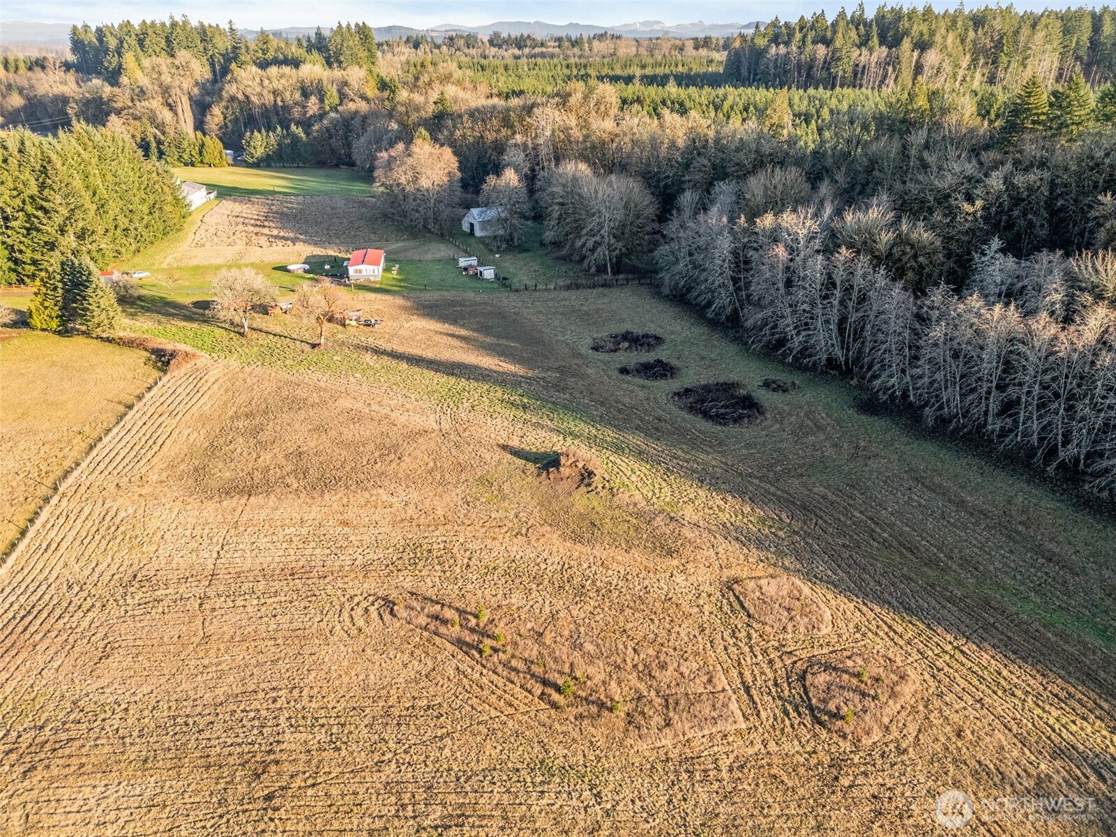 0 Collins Road Toledo, WA 98591 - Photo 6 of 25