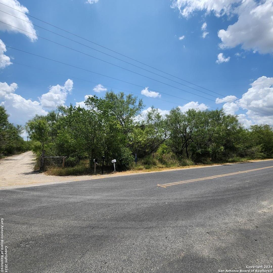 14096 Greenwood Road Atascosa, TX 78002 - Photo 3 of 4