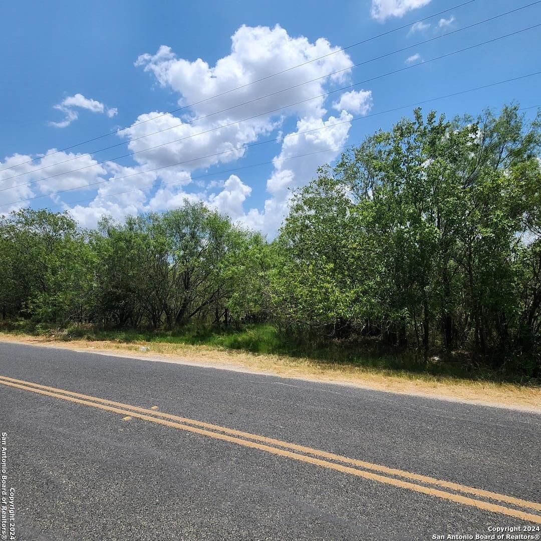 14096 Greenwood Road Atascosa, TX 78002 - Photo 4 of 4