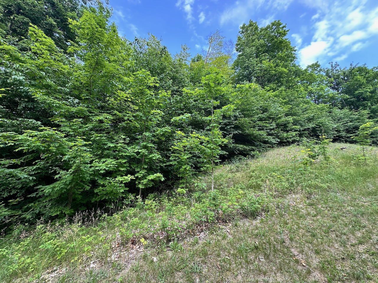170 Raptor Run, Unit LOT: 170 Bellaire, MI 49615 - Photo 13 of 29