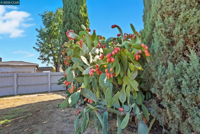 $575,000 | 4108 Irene Drive, Martinez, CA 94553