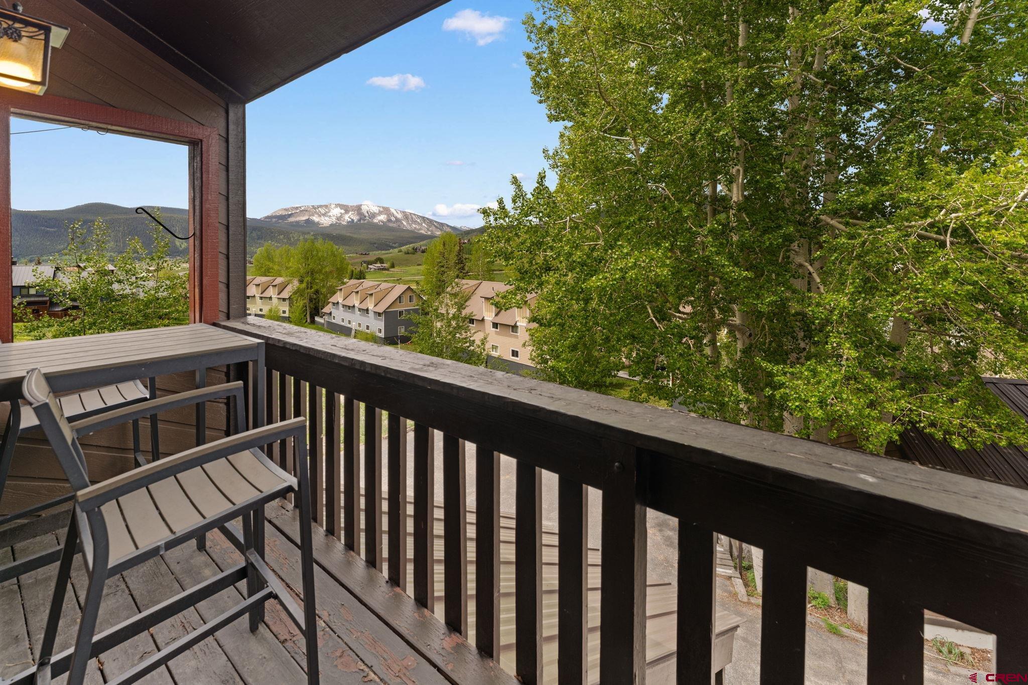 21 Castle Road, Unit 10 Crested Butte, CO 81225 - Photo 10 of 27